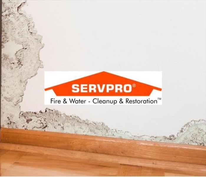 A moldy white and green wall with the SERVPRO logo in the middle 